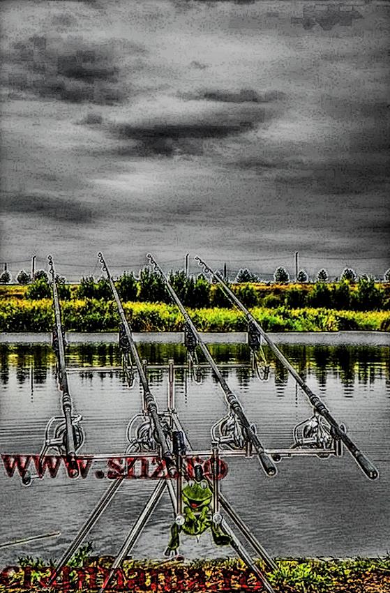 Boiliesmania 2013  (2) - 1031527hdrmode2-2.jpg